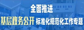 全面推进基层政务公开标准化规范化工作专题